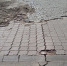 Брусчатка пошла волнами на проспекте Ленина в Нижнем Новгороде - фото 1 - vGorodeN.Ru