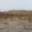 6IMG_3124.JPG - Керженский заповедник