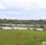 Нижегородские Артемовские луга могут стать природным парком - фото 1 - vGorodeN.Ru