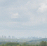 Петицию против строительства в Артемовских лугах подписали более 50 000 нижегородцев - Открытый Нижний