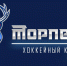 Потенциальные новобранцы — на просмотре в «Торпедо» - ХК Торпедо