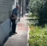 Нижегородцы спугнули наблюдавшего за детьми эксгибициониста в Ленинском районе - Newsroom24.Ru