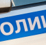 Такcист на Datsun сбил лося в Сарове - Открытый Нижний