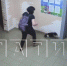 Нижегородка избила собаку соседки из-за конфликта - фото 1 - vGorodeN.Ru
