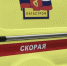Мать и трое детей пострадали в ДТП в Городецком районе - Открытый Нижний