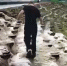 Нижегородский стадион  Водник  превратился в аттракцион после дождя - фото 1 - vGorodeN.Ru