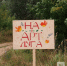 Первый фестиваль-экспедиция  АртЛуга  прошел рядом с Нижним Новгородом - фото 2 - vGorodeN.Ru