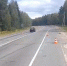 Пассажирка иномарки получила травмы в ДТП в Борском районе - фото 1 - vGorodeN.Ru
