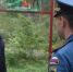 Патрулирование нижегородских лесов усилено из-за высокой пожароопасности - Открытый Нижний