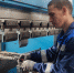 Нижегородская область выделила около 200 млн рублей на компенсации промпредприятиям при покупке нового оборудования - Правительство Нижегородской области