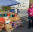 Сельхозярмарка  Осенний дар  стартовала в Нижнем Новгороде - фото 1 - vGorodeN.Ru