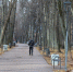 Видеобналюдение установят в нижегородском парке Кулибина в 2023 году - фото 1 - vGorodeN.Ru