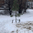 Пешеходную зону благоустроят вдоль дома № 3 по ул. Плотникова в Нижнем Новгороде - Единая Россия