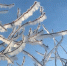Морозы до -10°C и снег прогнозируются в Нижнем Новгороде 20 декабря - Newsroom24.Ru