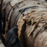 Подъезд дома на Чаадаева покрылся льдом из-за утечки на теплотрассе - Открытый Нижний