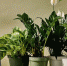 Нажмите для предварительного просмотра изображения - Газета День города. Нижний Новгород
