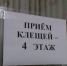 Более 300 случаев присасывания клещей зарегистрировано в Нижегородской области - Newsroom24.Ru