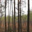 2IMG_5089.JPG - Керженский заповедник