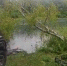 Пьяный водитель УАЗА погиб в ДТП, после съезда в озеро в Нижегородской области - фото 1 - vGorodeN.Ru