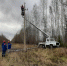 Электроснабжение в Нижегородской области полностью восстановлено после непогоды - НИА Нижний Новгород