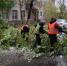 Подрядчики продолжают откачивать воду и убирать упавшие деревья после вчерашней непогоды - Администрация г. Нижний Новгород