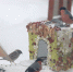 4IMG_2836.JPG - Керженский заповедник