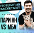 Кототерапия на матче «Пари НН» — МБА 17 ноября - БК Нижний Новгород