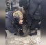 В Нижнем Новгороде поймали мужчину, который ради 5 миллионов подбрасывал людям мертвых птиц - ProGorodNN.Ru