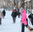 Юных нижегородцев приглашают на бесплатные кинологические занятия - Время Н