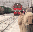 Около 12 тысяч нижегородских школьников посетили Волгоград по проекту "Уроки с путешествием" - НИА Нижний Новгород
