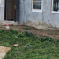 Бывший начальник электросетей в Нижегородской области предстанет перед судом из-за смерти ребенка - ProGorodNN.Ru