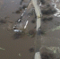 Еще два моста освободились от воды в Нижегородской области - фото 1 - vGorodeN.Ru