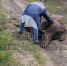 Сбитый машиной лось погиб в Нижнем Новгороде - фото 1 - vGorodeN.Ru