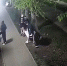 Вандалы разгромили лавочку в местном парке в Лыскове - Нижегородская правда