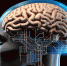 Neuralink получила разрешение на вживление второго импланта в мозг человека - Нижегородская правда