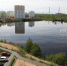 Бурнаковская низина в Нижнем Новгороде вошла в топ-10 живописных экотроп России - Нижегородская правда