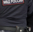 Полиция завела уголовное дела из-за нападения ротвейлера на ребенка в Нарышкино - ProGorodNN.Ru