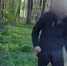 Пьяные подростки угнали иномарку и пытались скрыться от полиции на Бору - Открытый Нижний
