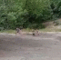 Детей забрали у нижегородки после видео с издевательствами под мостом - фото 1 - vGorodeN.Ru