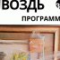Выставка-ярмарка «Гвоздь программы» - ЦБС Автозаводского района