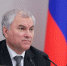 Госдума поддержит расширение перечня нарушений с выдворением мигрантов - НИА Нижний Новгород
