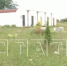 Фото Сектанты, поселившиеся в Нижегородской области, разбежались после визита силовиков - Новости Живем в Нижнем - Сетевое издание Живем в Нижнем