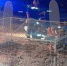Трагедия в Нижнем Новгороде: мальчик погиб из-за упавших футбольных ворот - Сетевое издание Живем в Нижнем