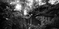 Творческая встреча с художником Дмитрием Кадынцевым пройдет в Нижнем Новгороде - Время Н