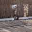 Танцевальную площадку над Окой хотят установить в Нижнем Новгороде - Открытый Нижний