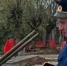 Прокуратура приехала с проверкой в школу №3 в Заволжье - Открытый Нижний