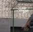Чубакку заметили среди нижегородцев — фото - NewsNN.Ru