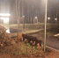 Ураган повалил деревья и заборы в Нижнем Новгороде: публикуем фото - фото 2 - vGorodeN.Ru
