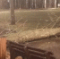Опубликованы кадры последствий урагана в Нижегородской области - Открытый Нижний