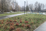 Владимир Солдатенков провел мониторинг состояния общественных пространств, благоустроенных в этом году